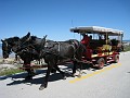 Mackinaw Island Area May 2008 0667